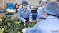 <b>怎么注册星图时时彩_除了线上化和利便速食化，</b>